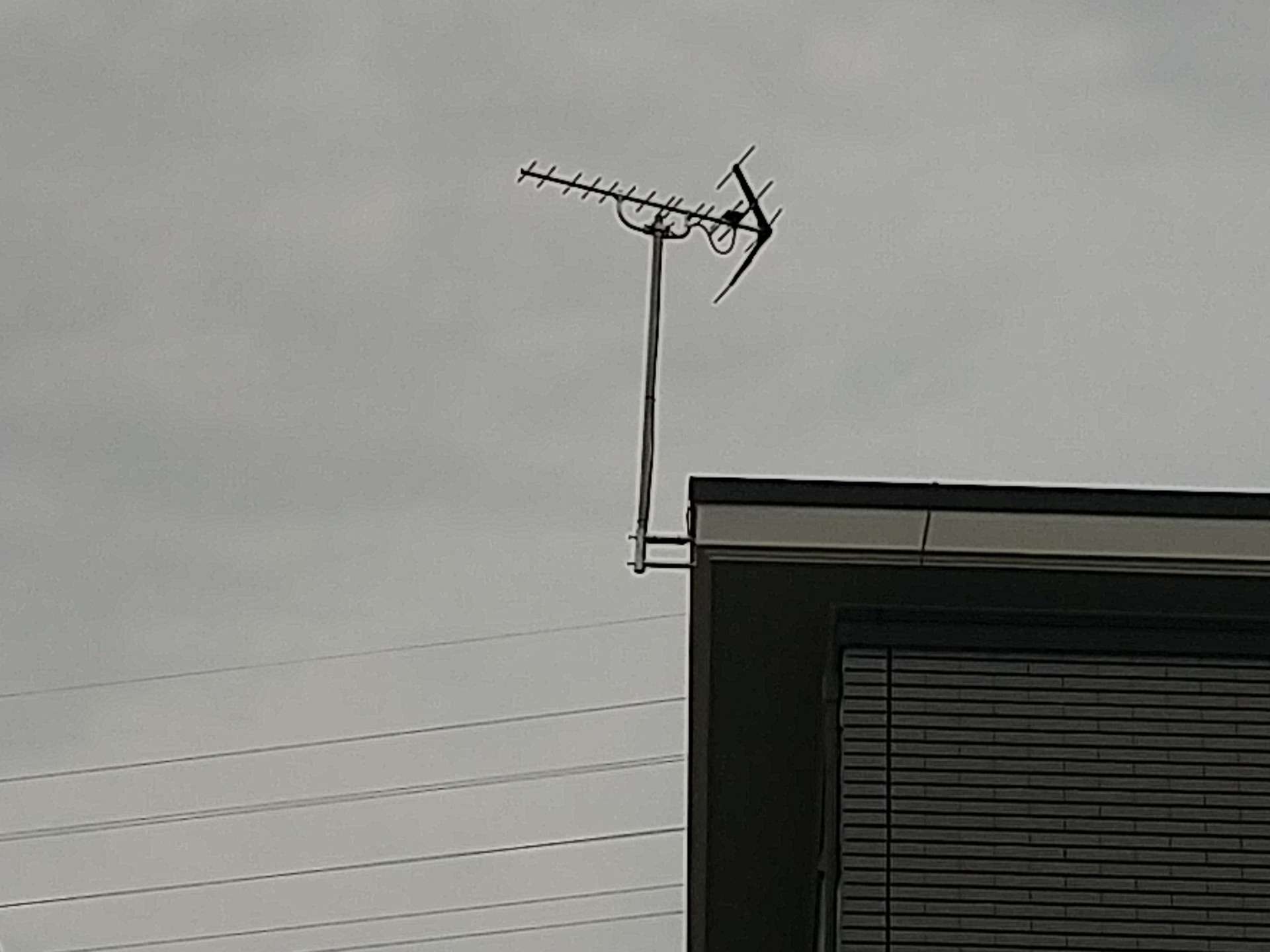 なぜそれらを食べるのでしょうか?